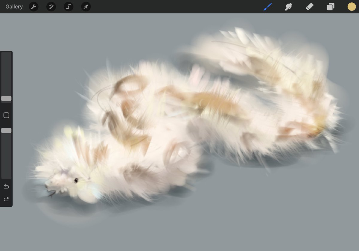 ItsKeyCat's tweet image. good afternoon twitter here is a fluffy snake