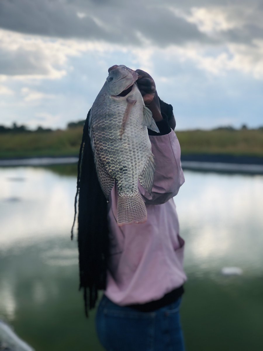 TheYoungFarmer's tweet photo. We are The FISH people 😍❤️ https://t.co/UD00ecR06j
