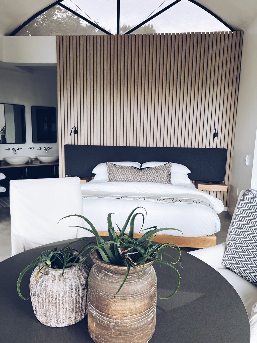 Camagwini_G's tweet photo. Hey guys for all those asking. This is Oribi Private Game Reserve in Port Shepstone. This is not an Ad, I rate this place a 10!!!! Probably cried when I walked in. At your earliest convenience book there ❤️✨ https://t.co/5yHcWtiwBE