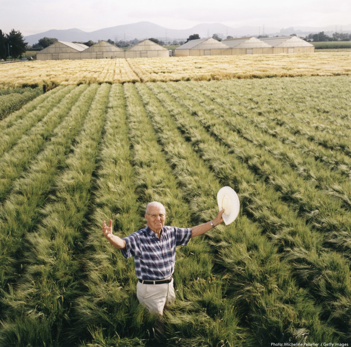 'The founder of the Green Revolution' and the only agricultural scientist that has received a Nobel Peace Prize, Norman Borlaug is credited with saving millions from mass starvation.