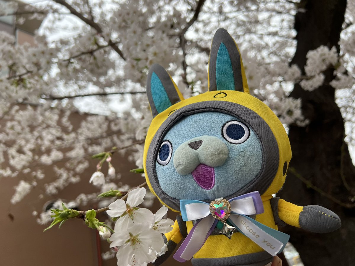 うさぴょん (@usapyon_935) / Posts / X