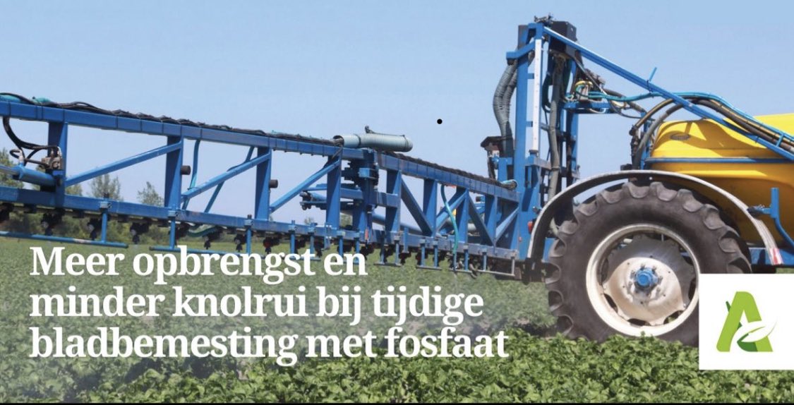 agrocentrum's tweet image. Deze maand staan we in Aardappelwereld Magazine!

Bladbemesting met fosfaat en een biostimulant rond de knolzetting kan zowel de opbrengst in kilo’s als in euro’s flink verhogen

Lees het artikel via deze link: t.ly/Ixkse

#agrocentrum #aardappelwereld #bladbemesting