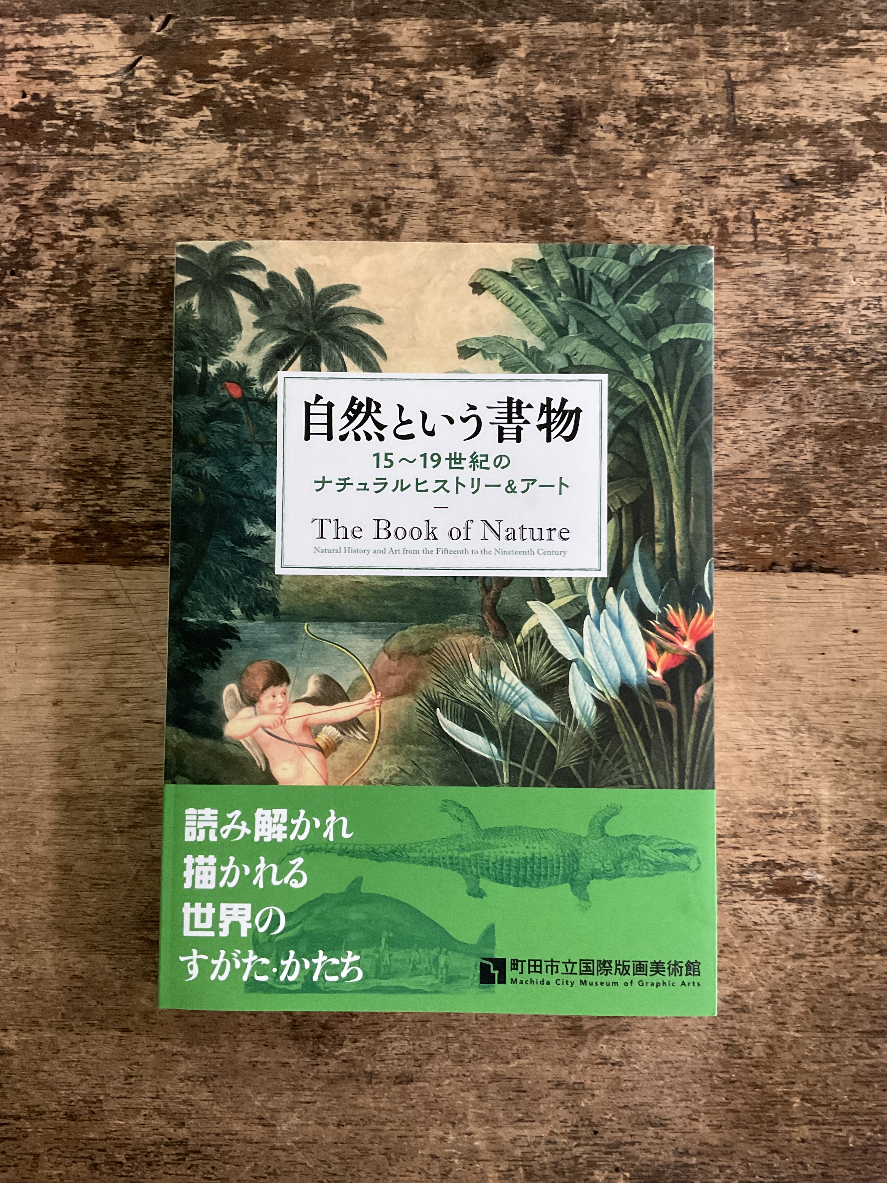 山本貴光 on X: 