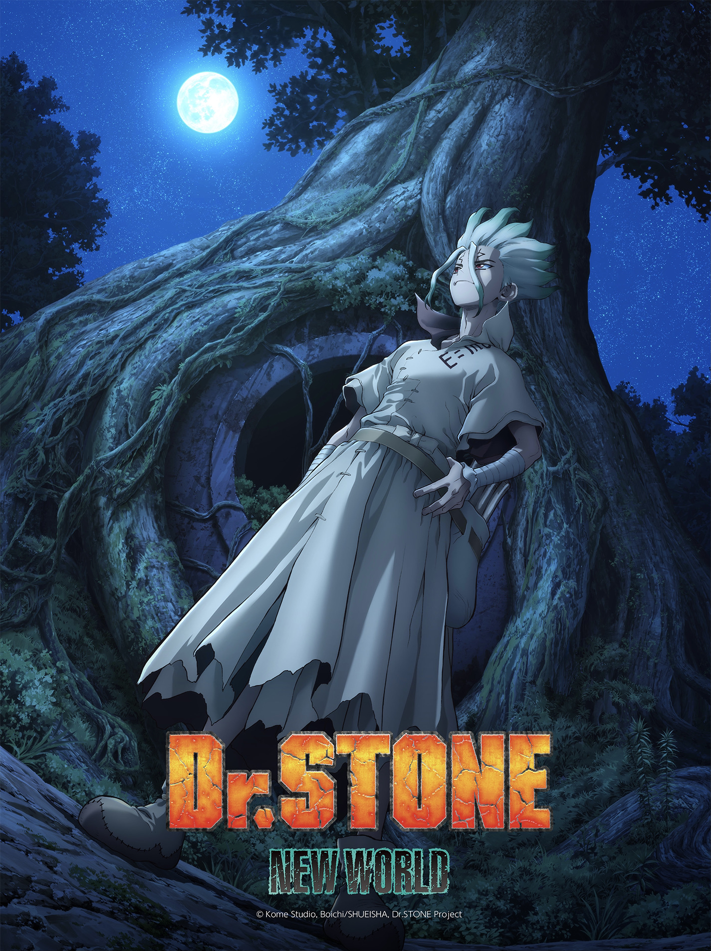 Dr. STONE New World Anime Premieres April 6 on Crunchyroll