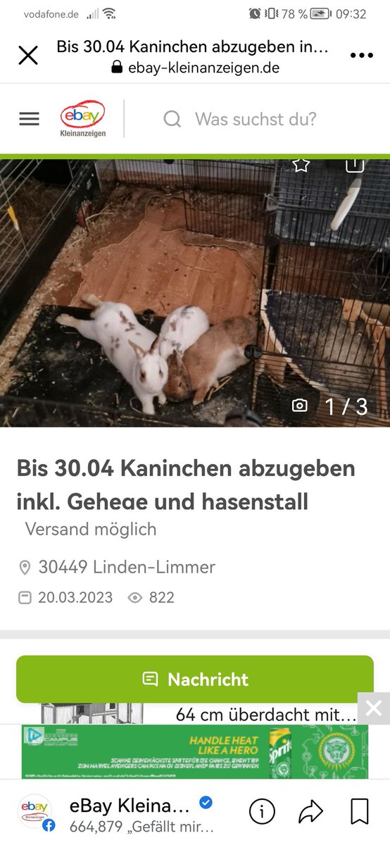 klimfy's tweet photo. Was bin ich hier schon wieder sehend? 😢

Die Armen Tiere..
https://t.co/LC20vRGsgc

Findet sich jemand der die Armen dort rausholen kann? Bin leider zu weit weg 💔 https://t.co/HkpFVd3MeW