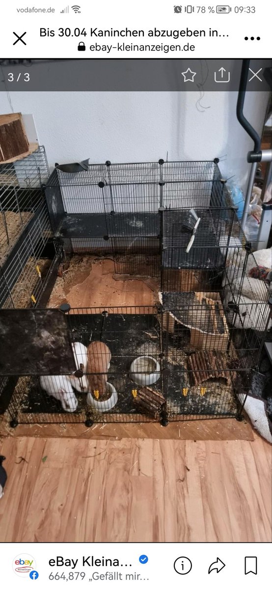 klimfy's tweet photo. Was bin ich hier schon wieder sehend? 😢

Die Armen Tiere..
https://t.co/LC20vRGsgc

Findet sich jemand der die Armen dort rausholen kann? Bin leider zu weit weg 💔 https://t.co/HkpFVd3MeW