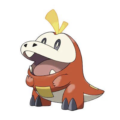 ヌメかホゲか 