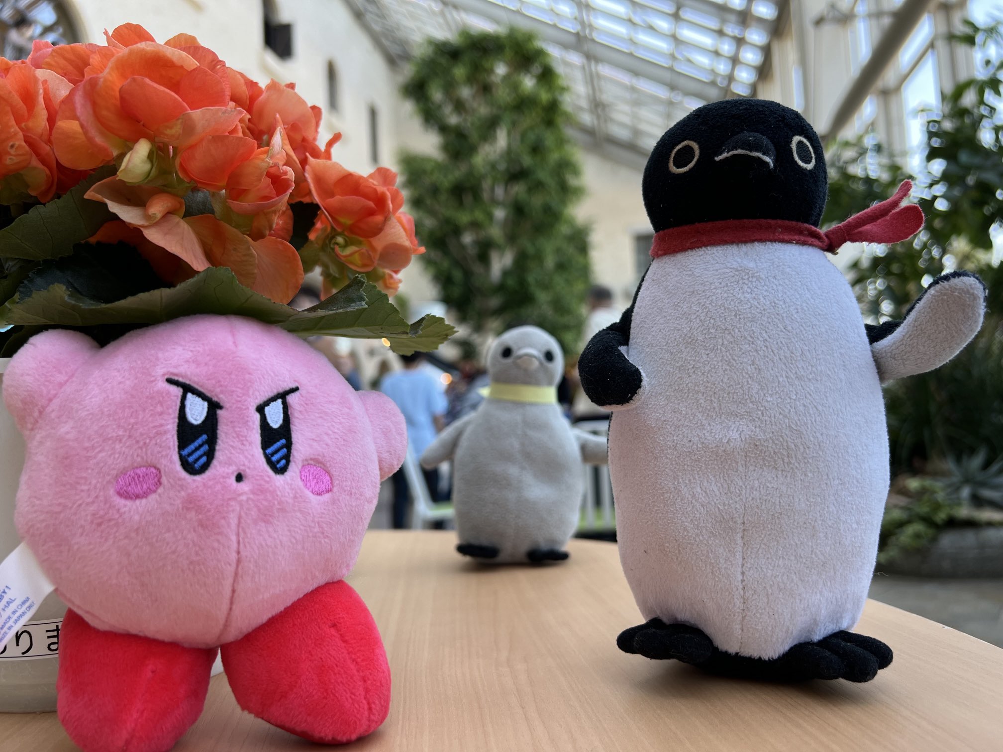 ペンギン様 dearbear_2680