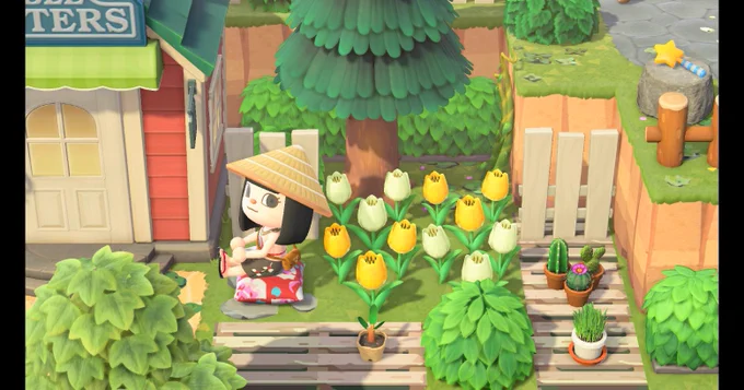 #Amimir #アミミア #あつ森 