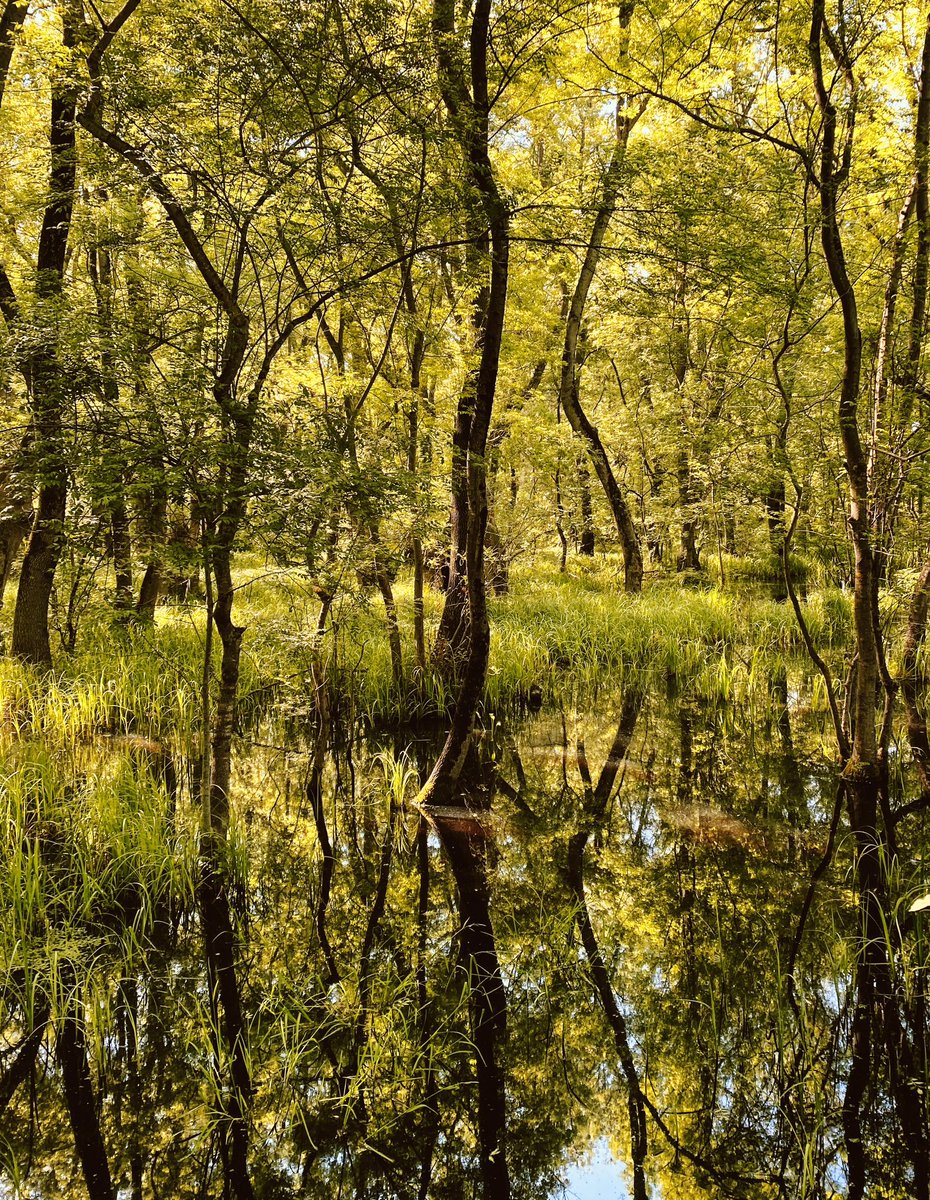 cnserbas's tweet photo. Good morning lovely nft fam 🌈🌿☀️

#Reflections #StrangeReflections https://t.co/De9PE372oW