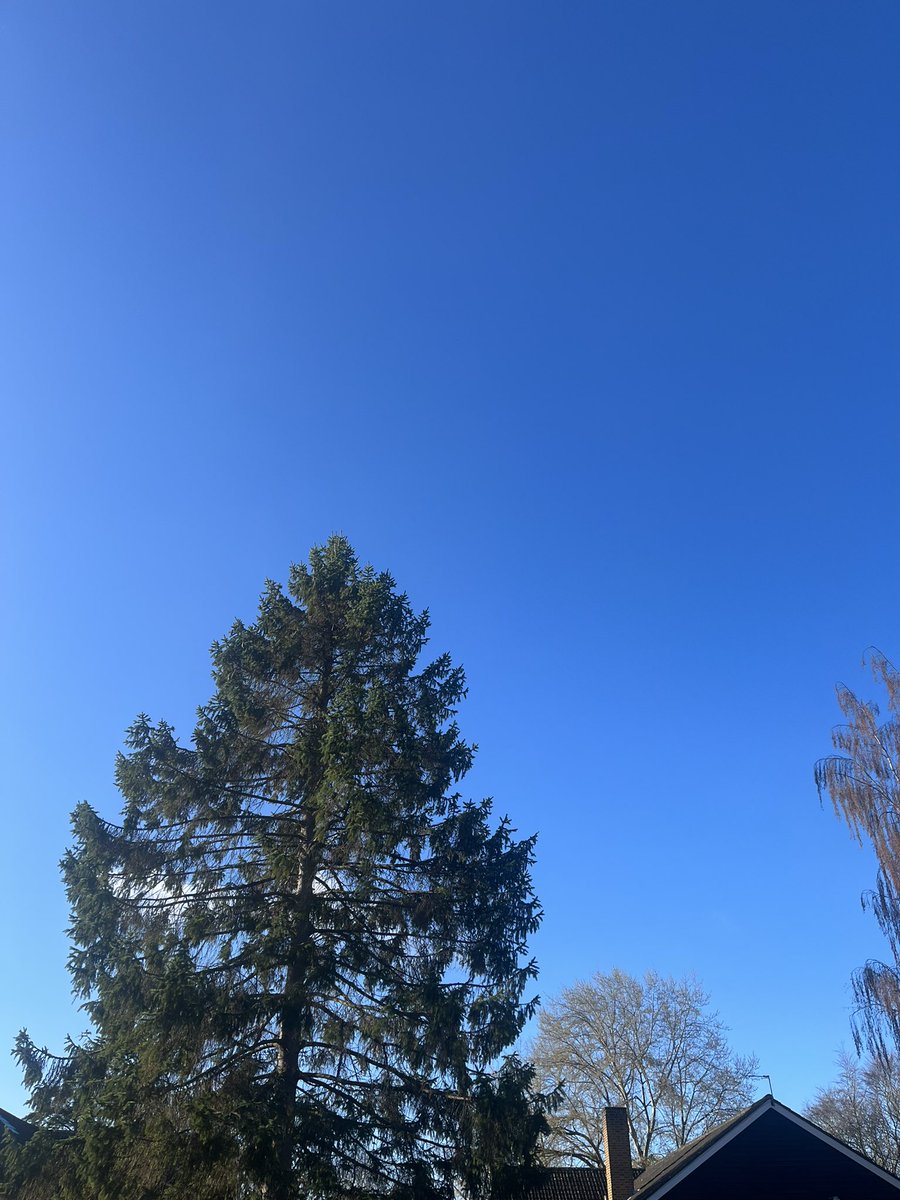 yarmgirlsgames's tweet photo. Good Morning from Shropshire! The sun is shining and spirits are high over breakfast! β¦.15 minutes to centre pass π #TeamYarm #FullTummysAllAround #Highspirits #GirlsNetball https://t.co/aMj2RdOr8A