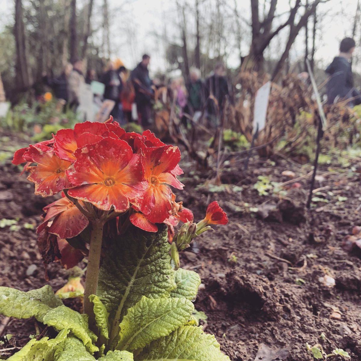 Emma Majury tweet media