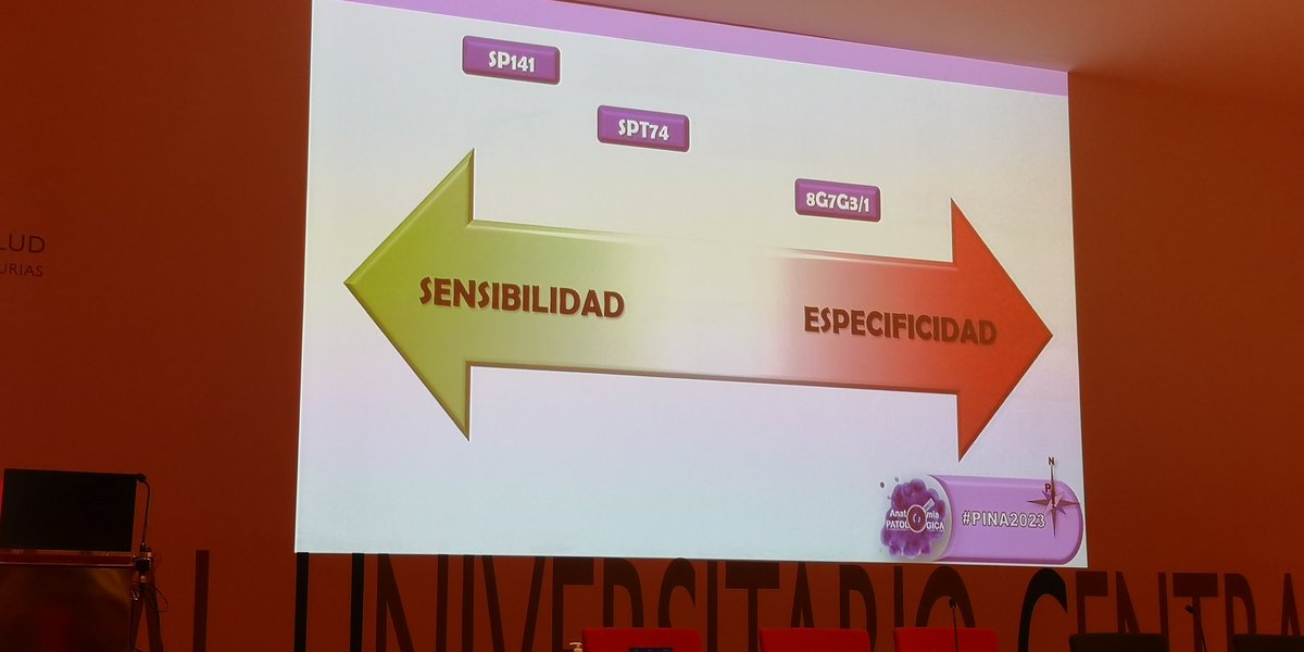 remimazorts's tweet photo. Empezamos #PINA2023 con @duckhuca hablándonos del TTF-1. https://t.co/yI6N2KBQwV