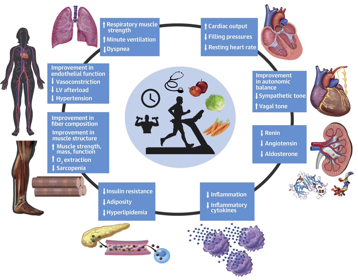 Christoph Burch tweet media