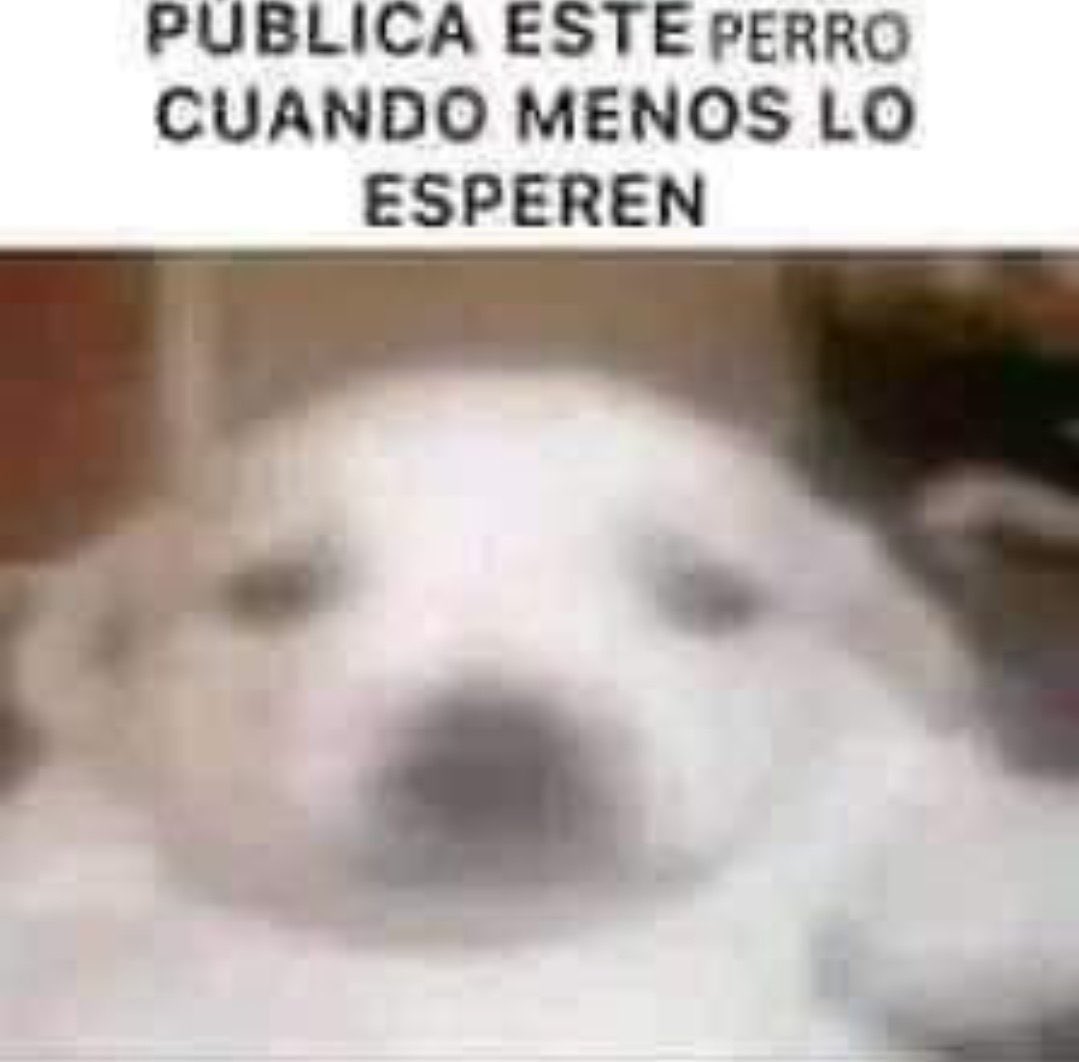 aXo (@axozerr) on Twitter photo 