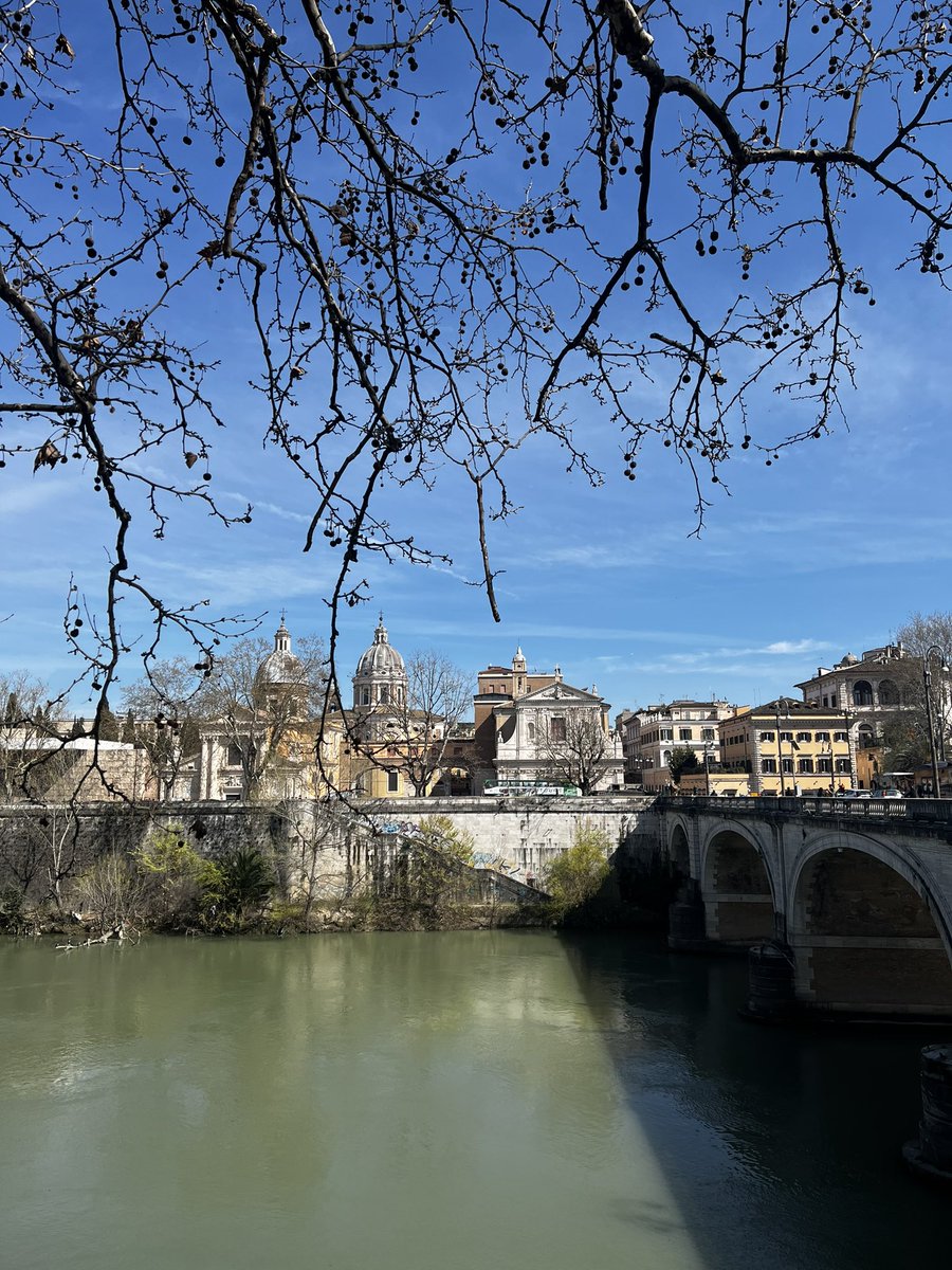 Morning walk to the forum