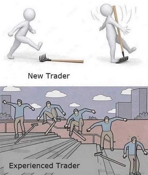 martin_phillip1's tweet image. Difference Between - New Trader &amp;amp; Experienced Trader 

#forextrader #experiencedtrader  #fxtrader #memes😂