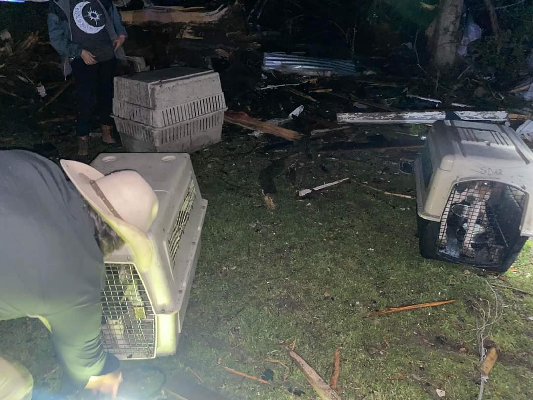 RealMiBaWi's tweet image. There are confirmed reports that at least one animal shelter in #Mississippi was also hit by the #tornado. 
Will working in the next few hours on updates and a list of ways to help people and animals affected by the #tornadoes.

#DAT #animalrescue

📸 South Delta Animal Rescue