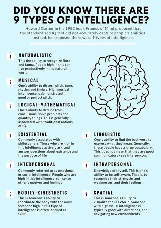 Did you know the 9 types of Intelligence?

Nauralistic
Musical
Logistical - Mathematical
Existential
Lunguistic
Interpersonal
Bodily - Kinesthetic
Spatial