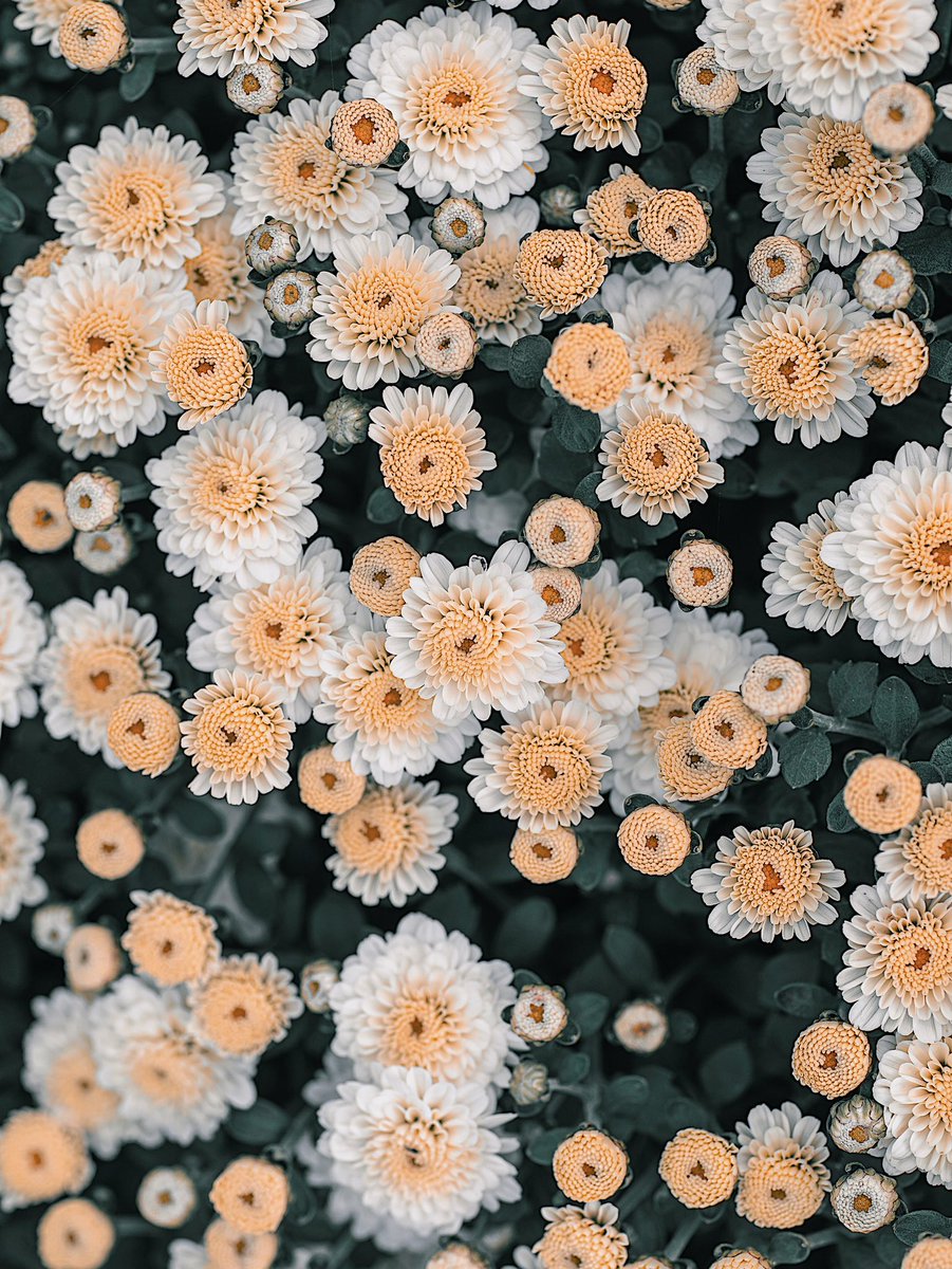 「 soothing colors 」