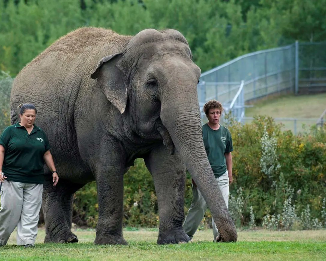 Robb Edwards 🌱 tweet media