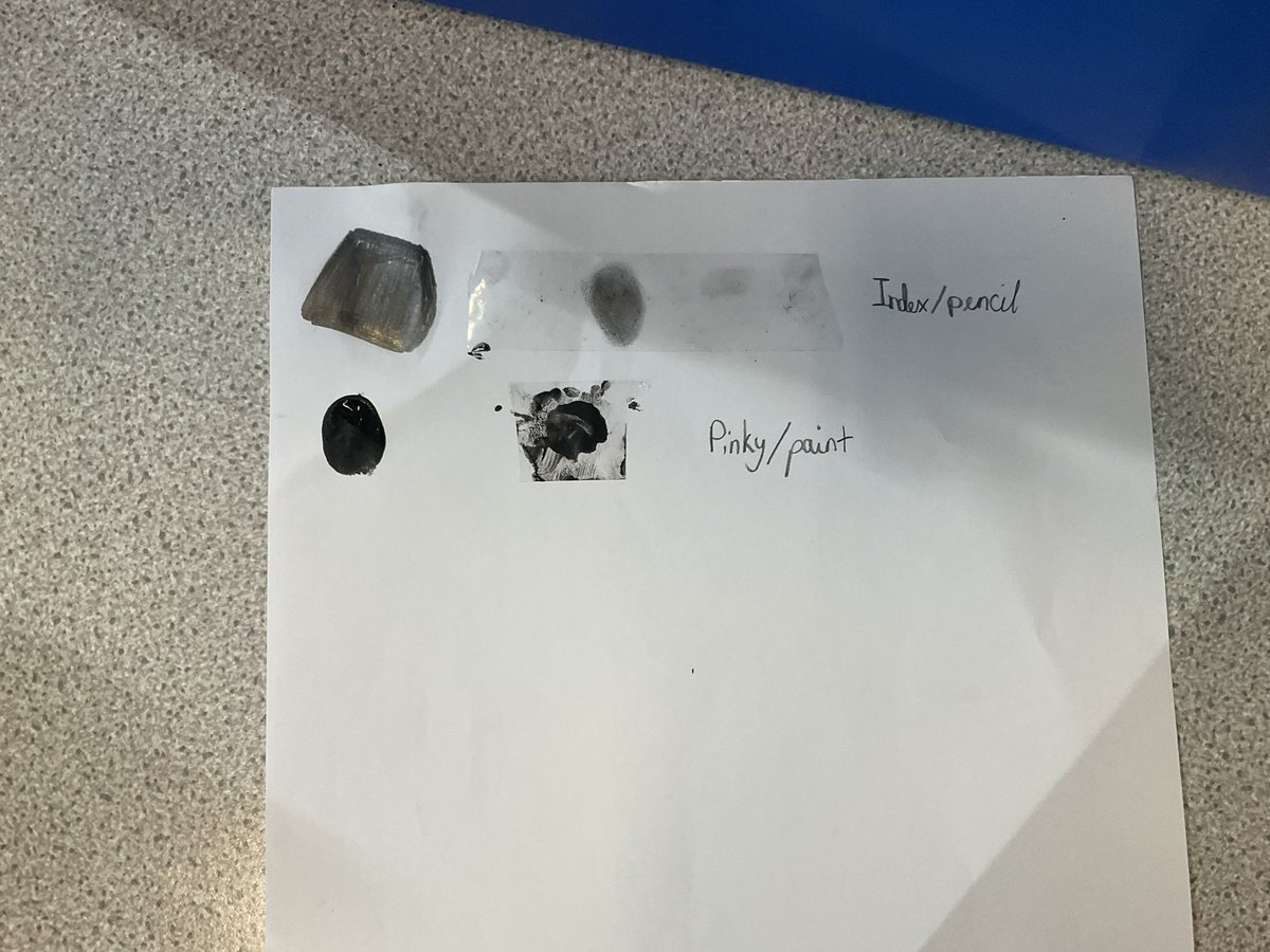 Yesterday Zircon looked how different their fingerprints were as part of STEM week. Using different methods.  We came to the conclusion that the majority of the class have a loop style fingerprint.