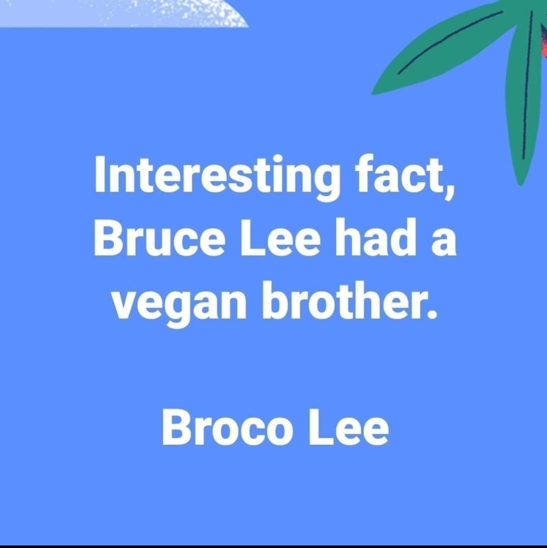 StangSalsa's tweet image. 