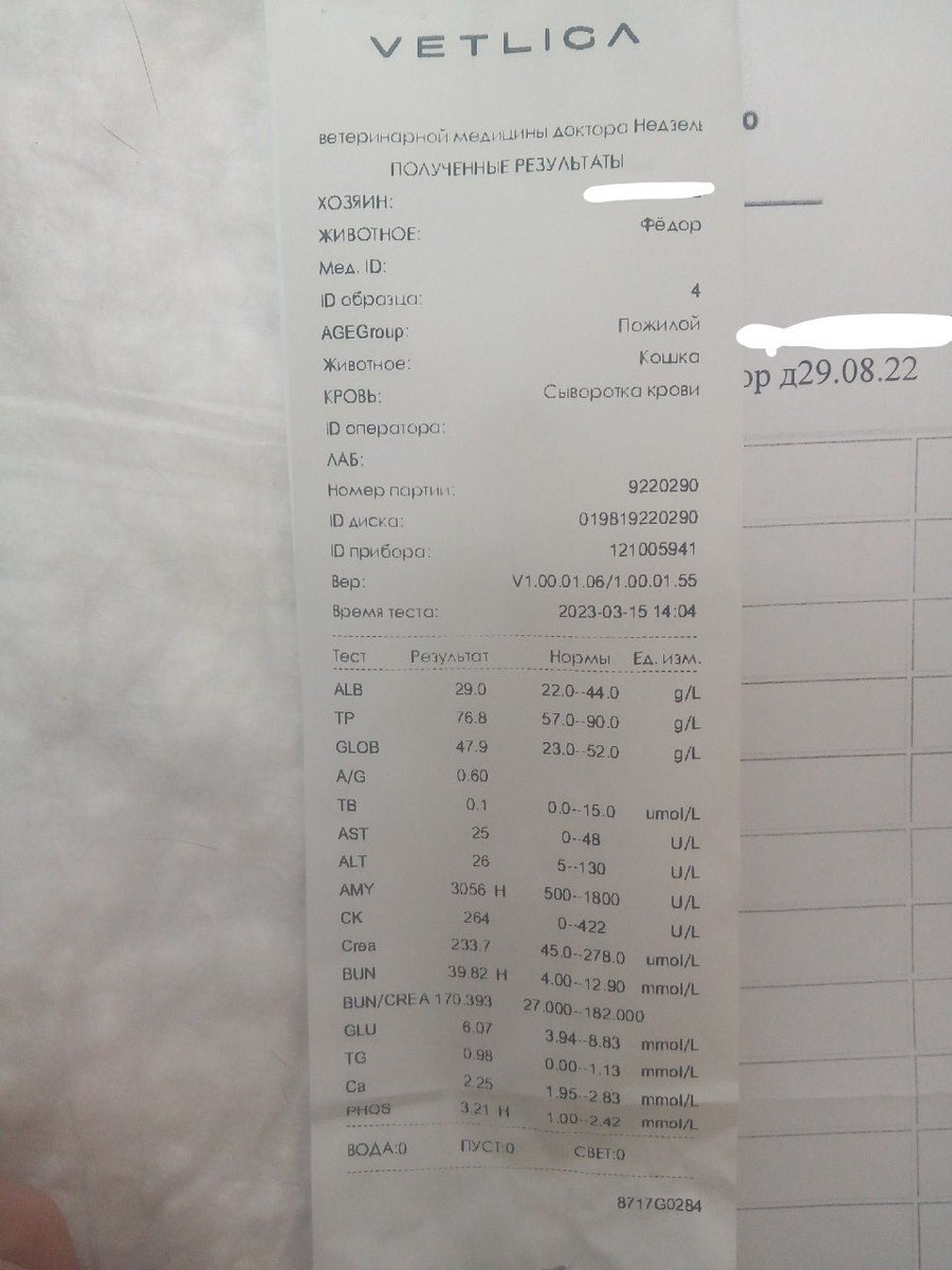 Фёдор полгода боролся с фип а сейчас борется с анемией и панкреатитом на фоне хпн 🙏🙏🙏 очень надеюсь, победит
Ему 15 и это его самый сложный год из всех
И мой тоже
Но я верю в Федю
После переливания легче но приходится ездить капаться каждый день из-за тошноты
2200730259495006