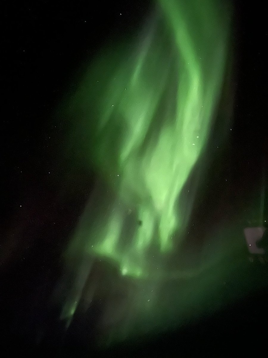 Captain__Cat's tweet image. Bonjour 💚