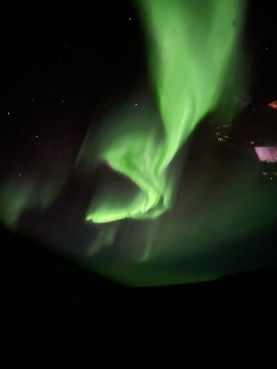 Captain__Cat's tweet image. Bonjour 💚