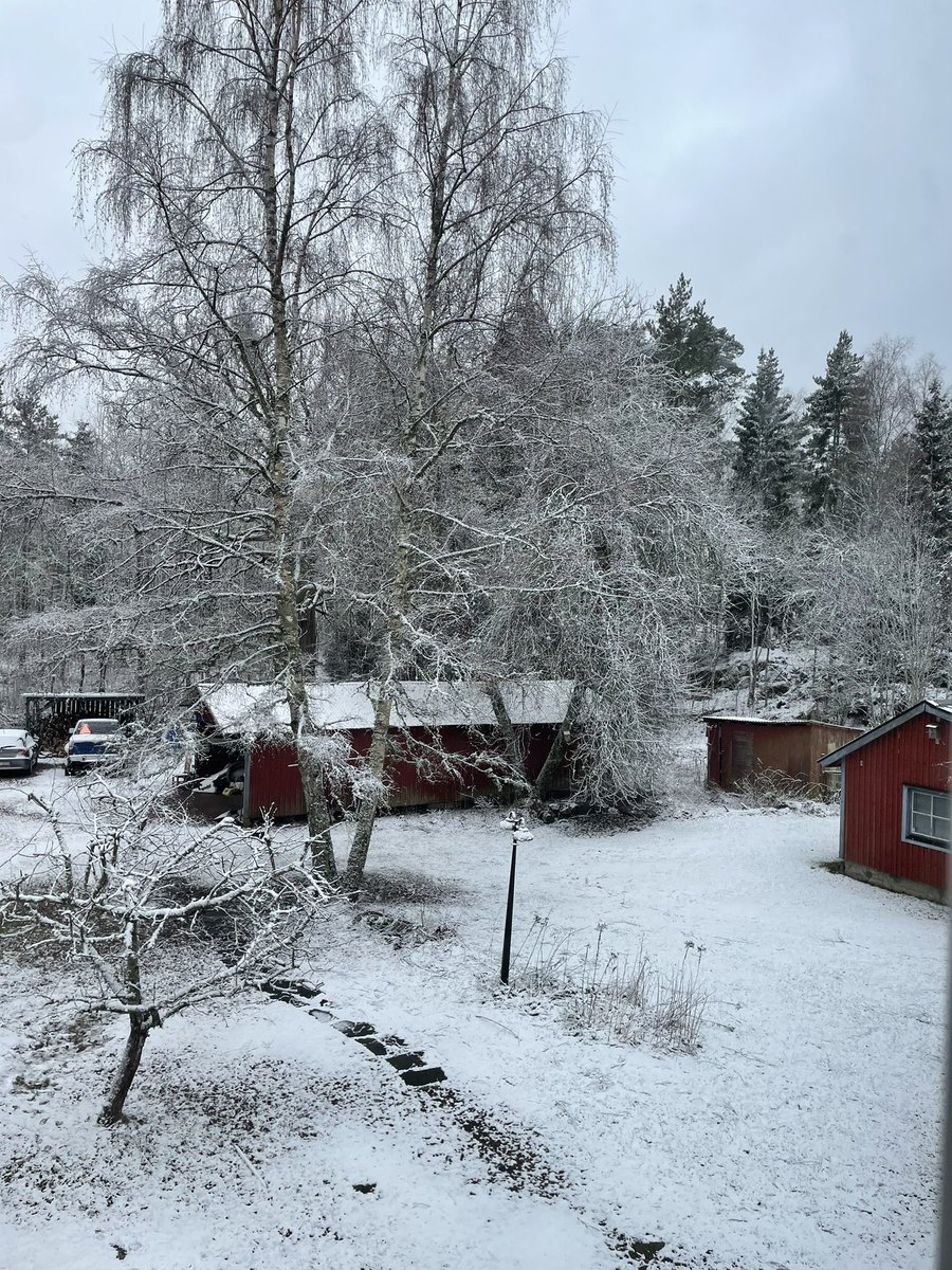 Det är ändå rätt fint att vakna till en marslördag som ser ut som en marslördag ska se ut