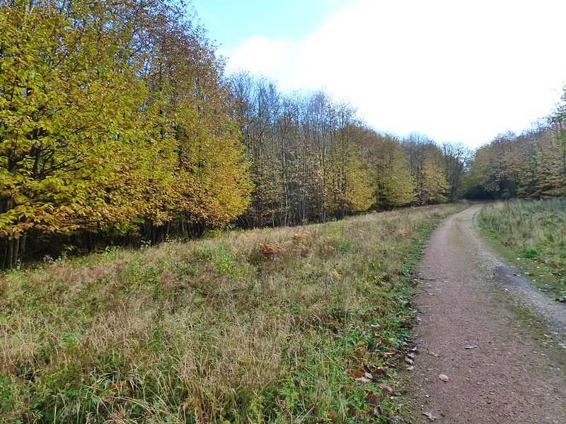 🚶‍♂️🚶‍♀️🌳 Book your walks now and experience the Heart of Kent Walking Festival. With walks through bluebell woods, neolithic stones and ruined castles, there's something for everyone 👇
bit.ly/40qBUBa
#HeartOfKentWalkingFestival #WalkingInKent #DiscoverKent
📸Kings Wood