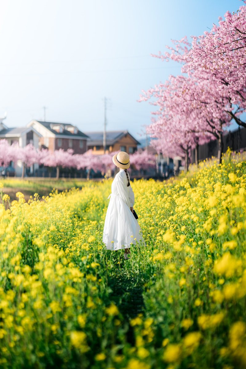 Shota On Twitter Spring 