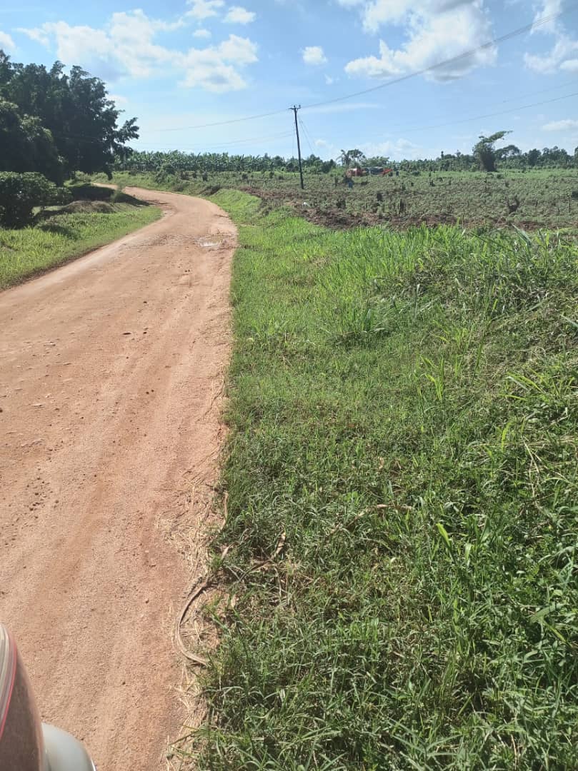 shukranproperty's tweet photo. 📌 #20Acres available for sale in Kapeka - Namusale village With ready title.. Selling Price #20m per acre.. ( Selling at once) ..
Power is available on ground. Call for inspection 0706592177 https://t.co/DQ3r2V9Nm0