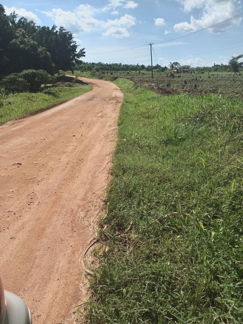shukranproperty's tweet photo. 📌 #20Acres available for sale in Kapeka - Namusale village With ready title.. Selling Price #20m per acre.. ( Selling at once) ..
Power is available on ground. Call for inspection 0706592177 https://t.co/DQ3r2V9Nm0