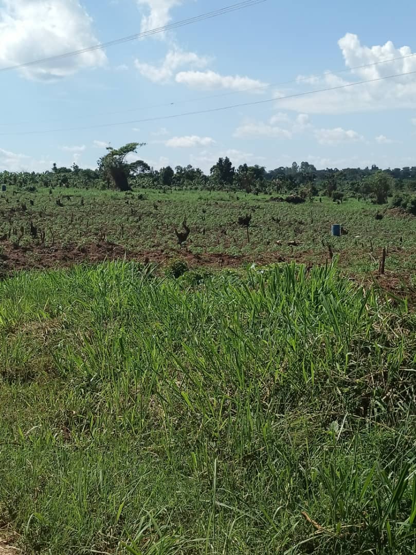 shukranproperty's tweet photo. 📌 #20Acres available for sale in Kapeka - Namusale village With ready title.. Selling Price #20m per acre.. ( Selling at once) ..
Power is available on ground. Call for inspection 0706592177 https://t.co/DQ3r2V9Nm0
