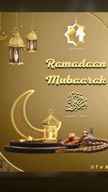 Senegal Development Conslting tweet media