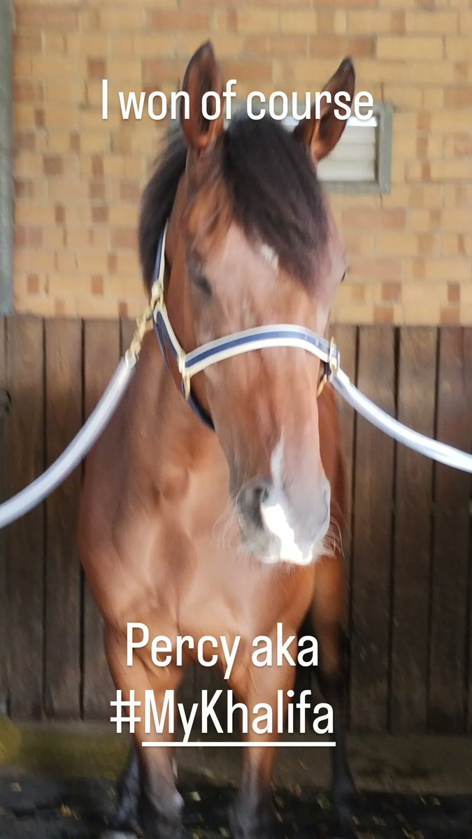 ChelseaFCOwner's tweet image. Happy Saturday
My mate won again 
Percy #MyKhalifa
