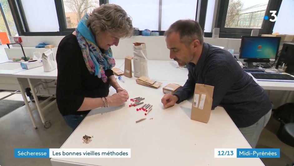 INRAE (@inrae_france) on Twitter photo #INRAEdanslesmedias
Le tournesol, la plante de demain face à la #sécheresse ? 🌻
◾ Tolérance au stress et aux fortes chaleurs
◾ Résistance aux maladies
🎤 <a href="/Nicolanglade/">Nicolas Langlade</a> et Marie-Claude Boniface répondent à <a href="/f3occitanie/">France 3 Occitanie</a>
🎥 url.inrae.fr/40g4SE2 #INRAEdanslesmedias
Le tournesol, la plante de demain face à la #sécheresse ? 🌻
◾ Tolérance au stress et aux fortes chaleurs
◾ Résistance aux maladies
🎤 <a href="/Nicolanglade/">Nicolas Langlade</a> et Marie-Claude Boniface répondent à <a href="/f3occitanie/">France 3 Occitanie</a>
🎥 url.inrae.fr/40g4SE2
