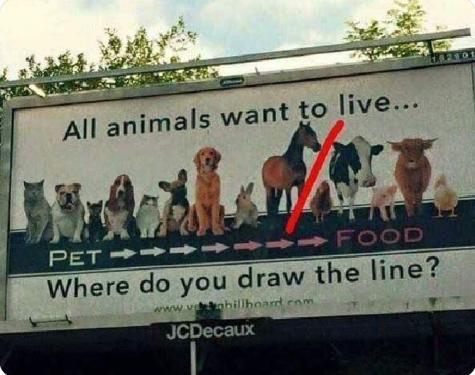 BeateEichenwald's tweet photo. I hope this helps you to search your soul if you are not vegan. 
What have the ones on the right done to be on the wrong side of the line??? https://t.co/nHZp3sRz71