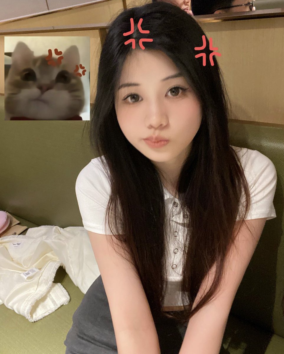 一只羊 tweet media