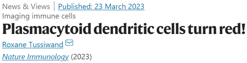 Happy and proud of the nice News and Views by Roxane Tussiwand on our paper reporting our new reporter mouse model specifically and efficiently targeting plasmacytoid dendritic cells!