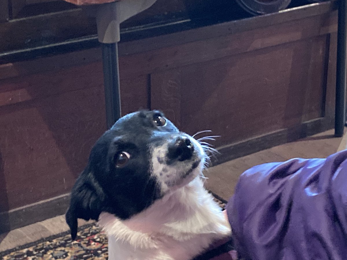 PurpleMastodon's tweet photo. At lovely #Orleton church @HerefordDiocese for the @MortimerSociety AGM looking forward to the dug out chest talk in particular https://t.co/dAuRJBkUus