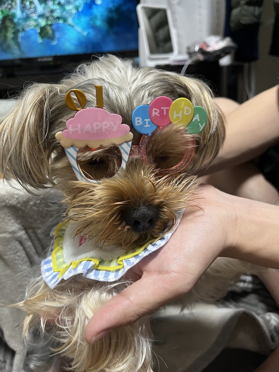roy_stagram's tweet photo. ちょっと早めの誕生日🎂 https://t.co/8UnRRaTsdW
