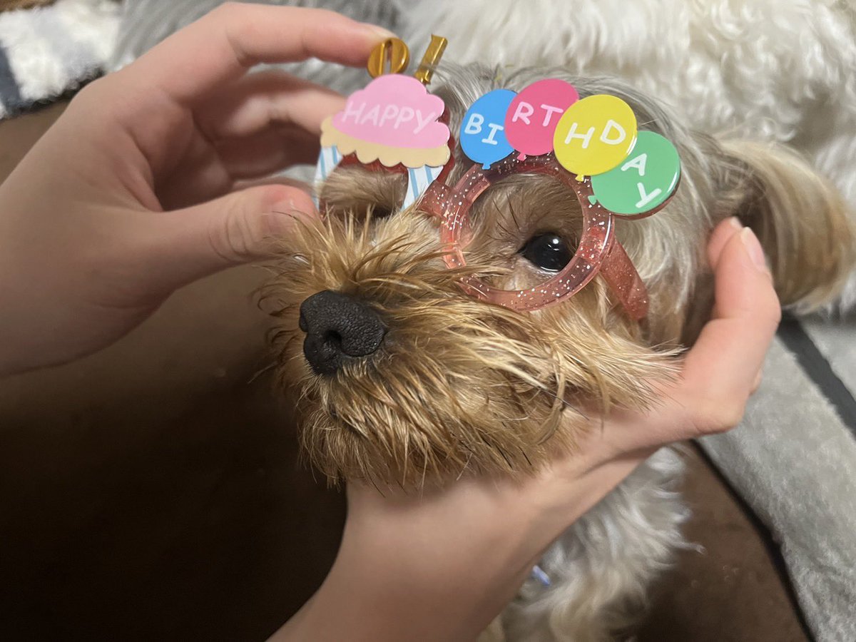 roy_stagram's tweet photo. ちょっと早めの誕生日🎂 https://t.co/8UnRRaTsdW