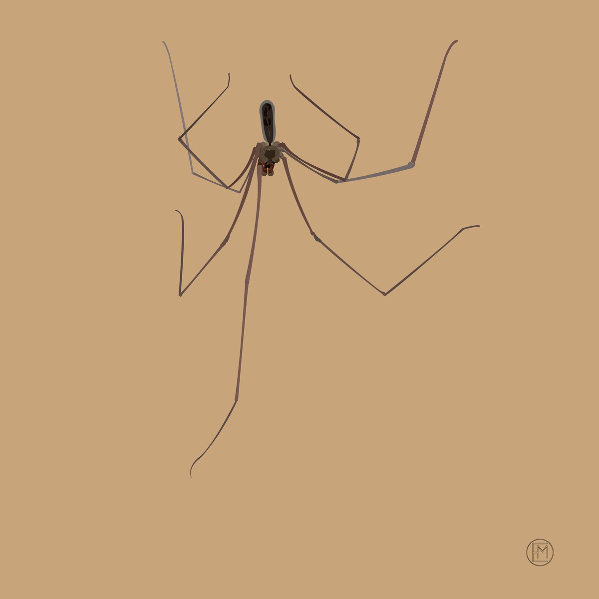 Spider NFT tweet media