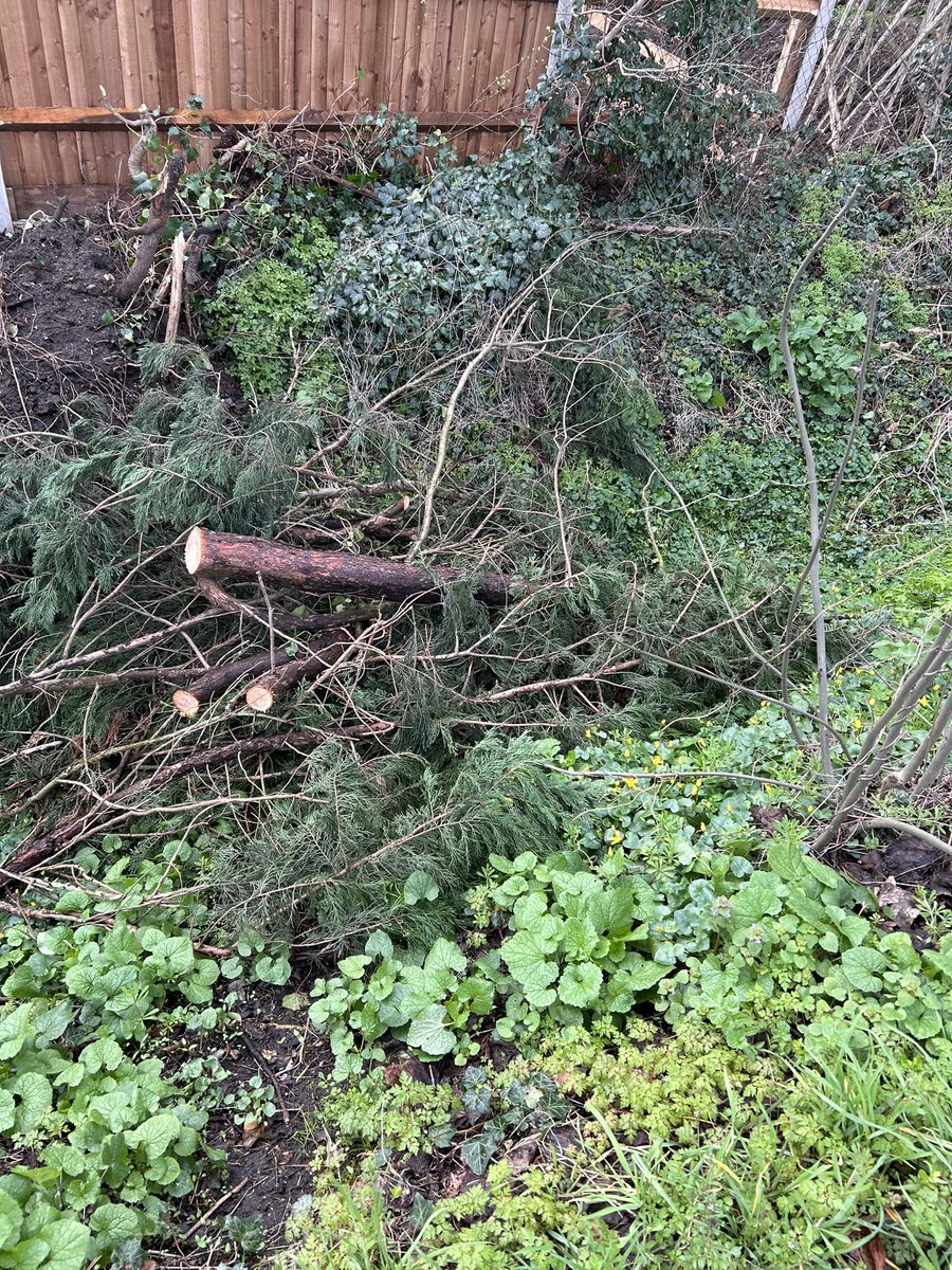 Keep Epsom and Ewell Tidy tweet media