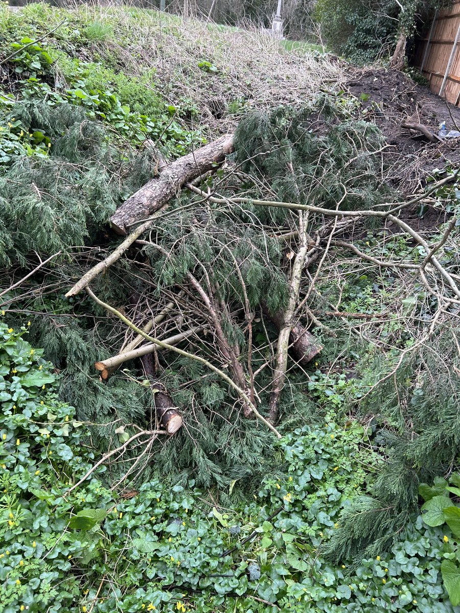 Keep Epsom and Ewell Tidy tweet media