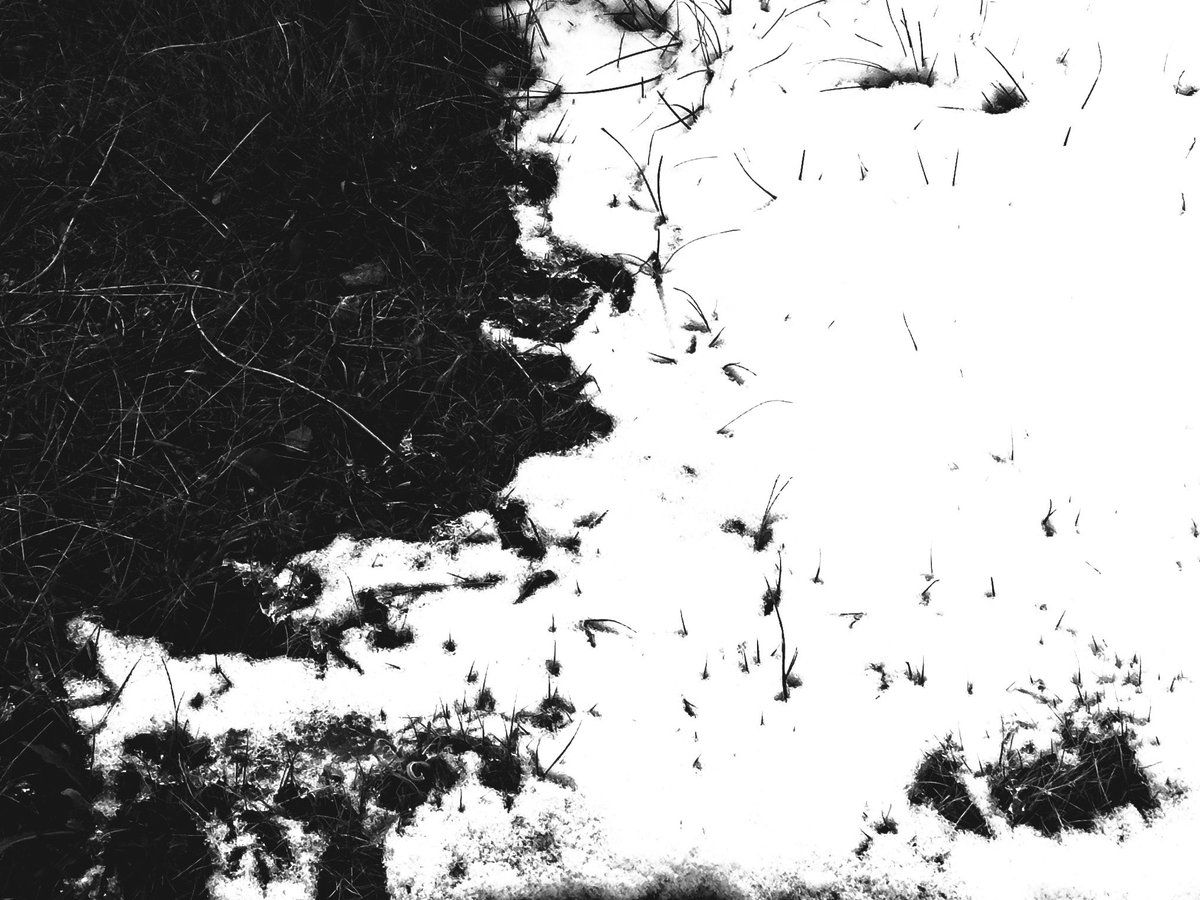 Border by nature 
📸 Iphone 14 Pro Max
#iphonephotography 
#mobilephotography 
#minimal_bnw 
#raw_minimal 
#raw_mobile
#raw_bnw 
#bnwgang 
#monochrome 
#snow 
#raw_snow 
#abstract 
#raw_abstract 
#raw_season
#minimalphotography 
#minimalism