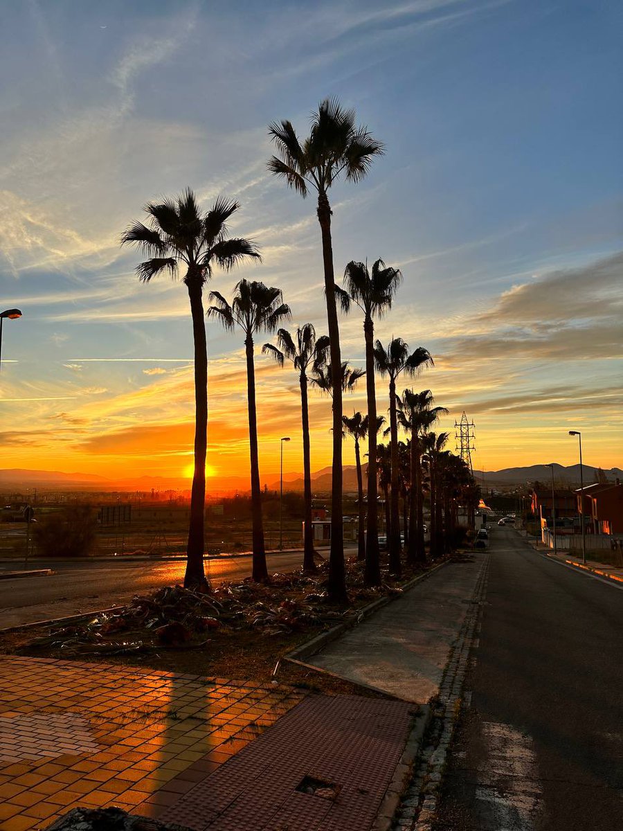 Aurora Suárez tweet media